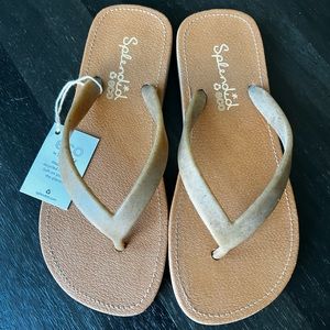 Splendid Eco Carrie flip flop